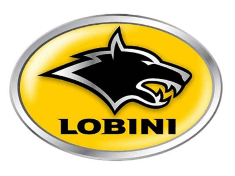 logo-hang-xe-lobini-44.jpg